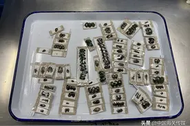 瞒报、夹藏等方式邮寄昆虫标本，有风险图片