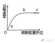 苏教版高中生物必修第一册《组成细胞的元素》教案课件视频
