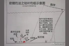 它被称为“大鱼的终结者”，详细解读库钓“必杀技”——欧鲤钓法图片