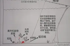 它被称为“大鱼的终结者”，详细解读库钓“必杀技”——欧鲤钓法图片