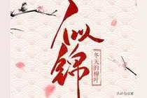 冬天的柳叶成名作《似锦》，完结后口碑炸裂剧情环环相扣，值得追图片
