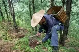 广西两位村民：进山采药意外发现飞机残骸，揭开尘封52年的历史图片