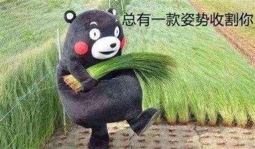 "800W勇士"再现脱坑潮，至尊天空成最后一根稻草，DNF真的黄了？
