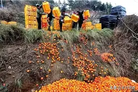 中间商靠农民和农业发财，吸干农民的血汗，他们才是农业破坏者图片