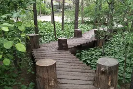 长春大鹅岛生态园图片