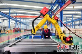 湖北宜昌夷陵：产业兴区之路筑牢发展之基图片