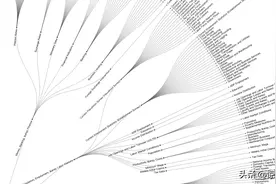 手把手教你Python大数据爬虫及可视化图片