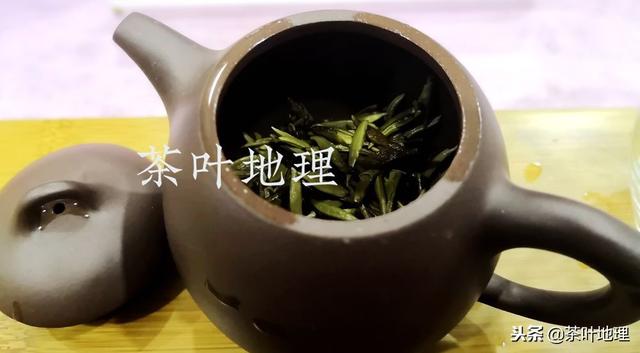 了解这些细节，人人都能泡好白茶！