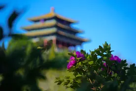 游客注意！本周五景山公园将提前闭园图片