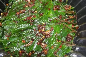 解馋啦！今天终于可以制作美味紫苏叶啦图片