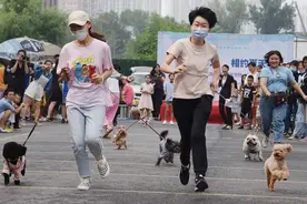 训犬师从狗肉贩子手中救下狗狗 训练一年后表演“萌呆了”图片
