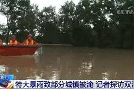 农田变“河流”……湖北强降雨致24市县65.06万人受灾图片