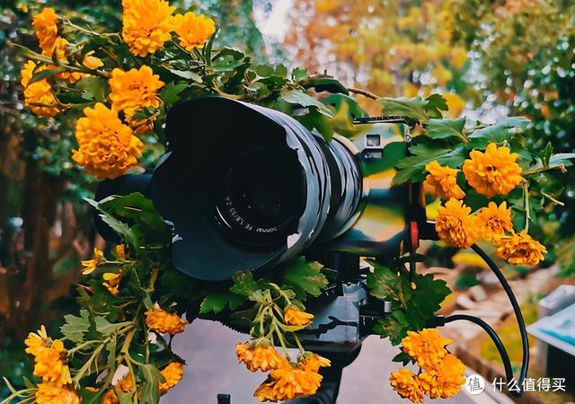 2021�����Ʒ�Ƽ������������ߺ�Ӱ������һ���򾡣������õ�װ��