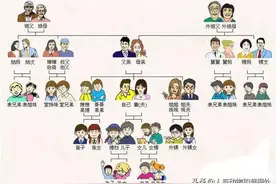 外甥与舅舅亲还是叔叔亲？图片