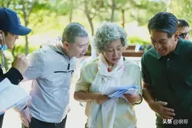 刘晓庆出演《北辙南辕》，不仅演技收获好评，还贡献了高光的剧情图片