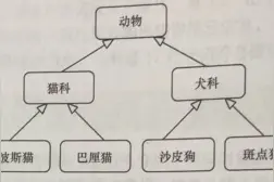 java：举例说明继承的概念图片