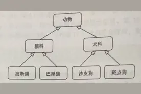java：举例说明继承的概念图片