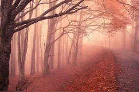 总有些意外的到来，让你猝不及防图片