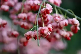 自私到骨子里的人，特征显著，藏不住图片