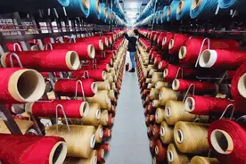【夺取疫情防控和经济社会发展双胜利】新疆地毯产业示范园部分投入生产图片