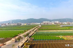 云南玉溪市的一个县，县城建在湖积平原上，南面靠山，北面靠湖图片