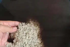 你们吃过广东灰水粽吗？今天教你们广东灰水粽的制作过程图片