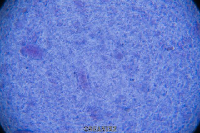 米饭脱糖概念真的全是伪科学？——还得看实际产品