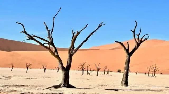 科幻走进现实：这些地球上的“外星居所”超乎想象