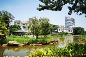 广州国际生物岛之水墨园图片