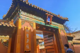 我在故宫寻古药：活起来的清宫医药文物藏着中国古药的故事图片