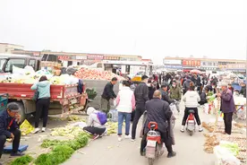 天津武清吃喝玩乐之宝藏“大集”——武清区梅厂镇大集图片