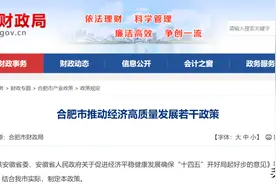 合肥重磅政策！最高补贴1000万图片