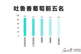 熊猫指南发布吐鲁番葡萄测评榜单 这五种葡萄好看又好吃图片