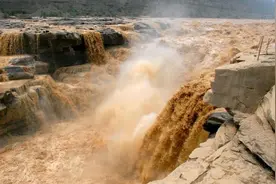 黄河里都是淡水鱼，那河水进入大海后，淡水鱼去哪儿了？图片