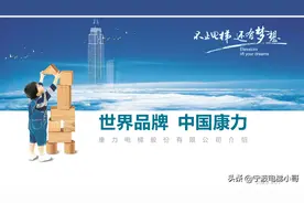 国内电梯品牌重振江湖图片