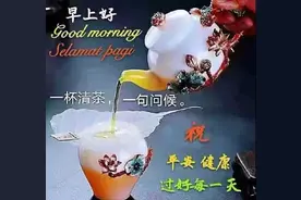 中老年表情包｜来也匆匆去也匆匆，恨不能相逢图片