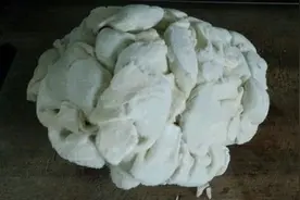 生饺子直接放冰箱就错了，包完后这样做，饺子再也不粘连在一起图片