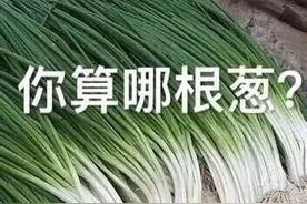 你算哪根葱？相当解气，记得收藏图片