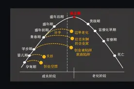 领星大会干货丨精益管理盛行，跨境电商企业的组织创新之道图片