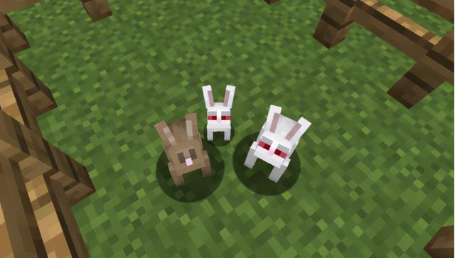 杀手兔和普通的兔子(我的世界杀手兔重现江湖 兔狼大战的场面你见过没