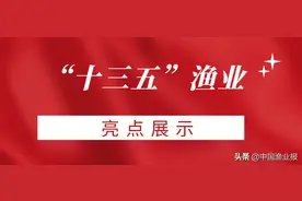 「“十三五”渔业亮点展示」控制捕捞强度，推动海洋渔业持续健康发展图片