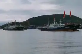 随记：中国第一渔村，真不是吹的图片