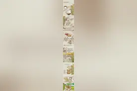 一碗白米饭的记忆图片