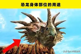 恐龙的奥秘：至今为止，人类依然没有弄清楚的9个恐龙之谜图片