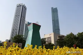 南京闹市区“空降”400平“油菜花田图片