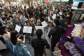 日本人为何如此喜爱欧洲古典音乐？图片