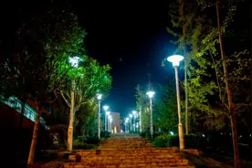 全家都在985 211如鱼得水，只有我是个废物图片