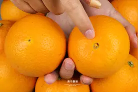 橙子要买“母”的才好吃，牢记4个挑选技巧，包你买到的香甜多汁图片