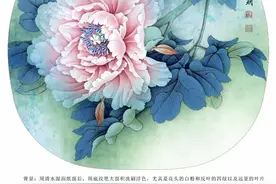 工笔牡丹《孩儿面》绘制步骤分享图片