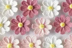 钩编小花图解，新手别错过哦图片